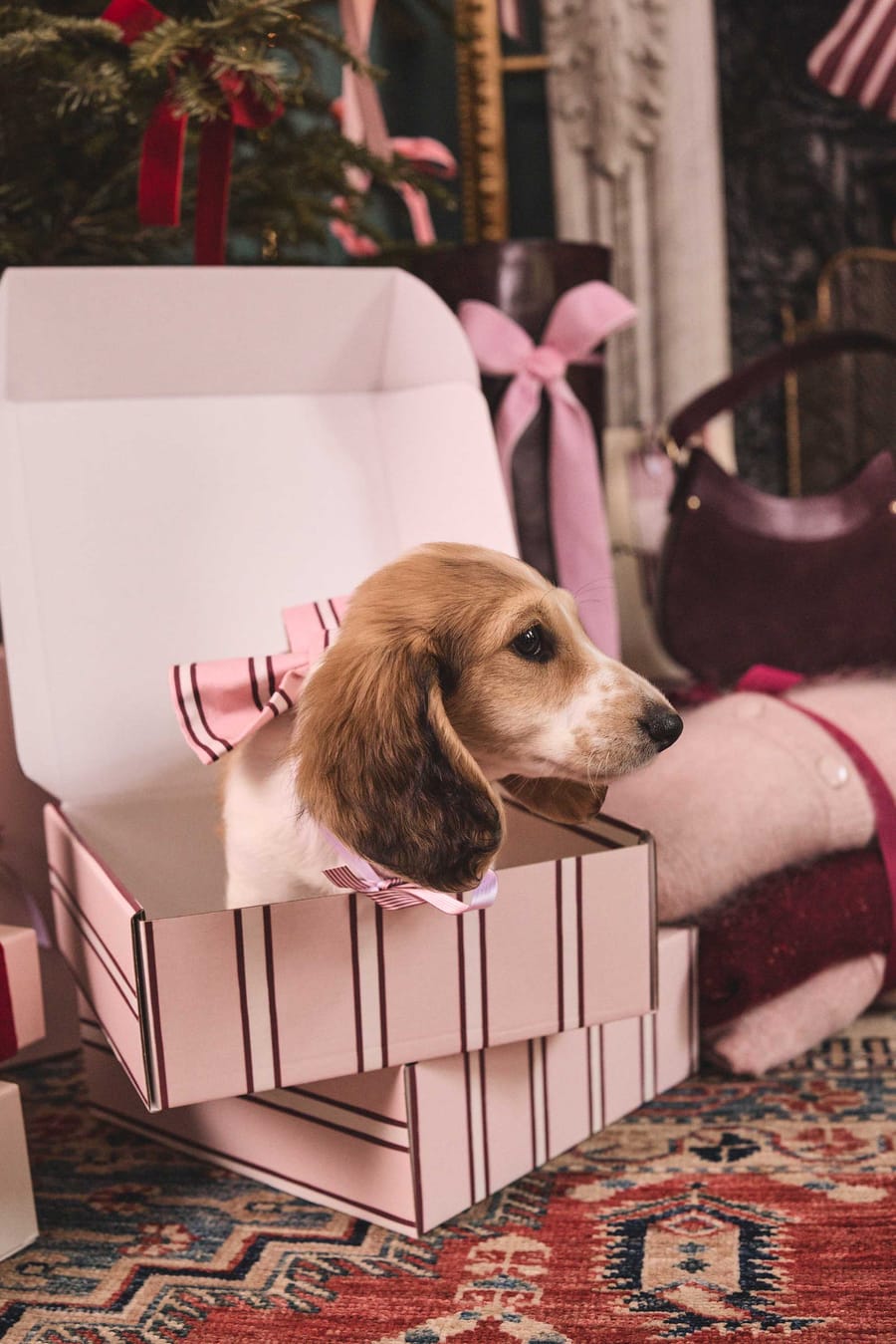 Jeu concours : gagnez votre wishlist de NOËL