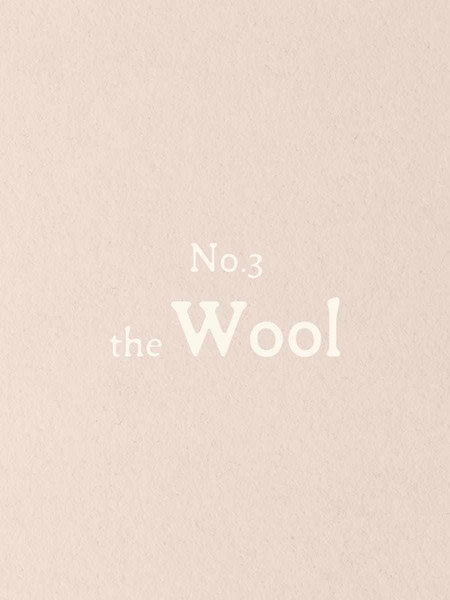 Number 3: the Wool
