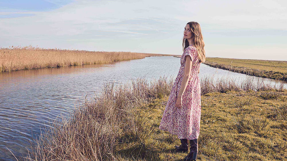 The dress morpho guide