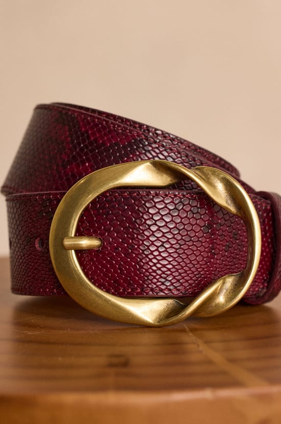 Ceinture large en cuir VALENTIN;${refinementColor}