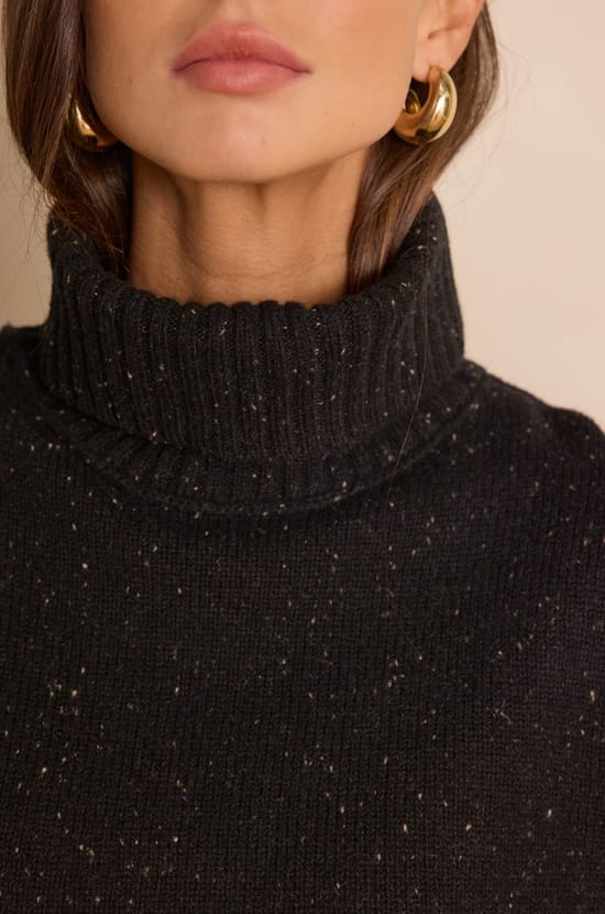 BRANDO turtleneck jumper in 100% wool;${refinementColor}