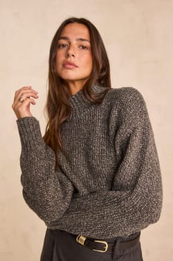 Pull manches longues coton m&eacute;lang&eacute; ARMANDO;${refinementColor}