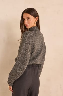 Pull manches longues coton m&eacute;lang&eacute; ARMANDO;${refinementColor}