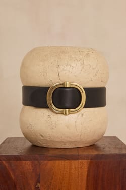 ELISE Wide Leather Belt;${refinementColor}
