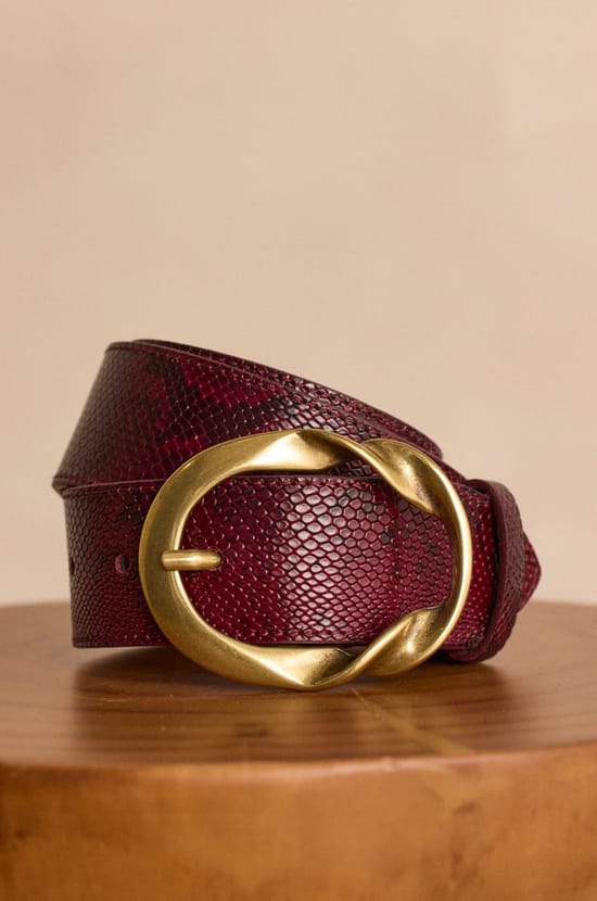 Ceinture large en cuir VALENTIN;${refinementColor}