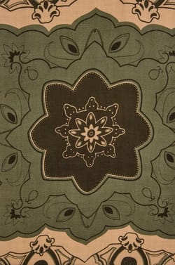 Printed wool scarf REMY;${refinementColor}