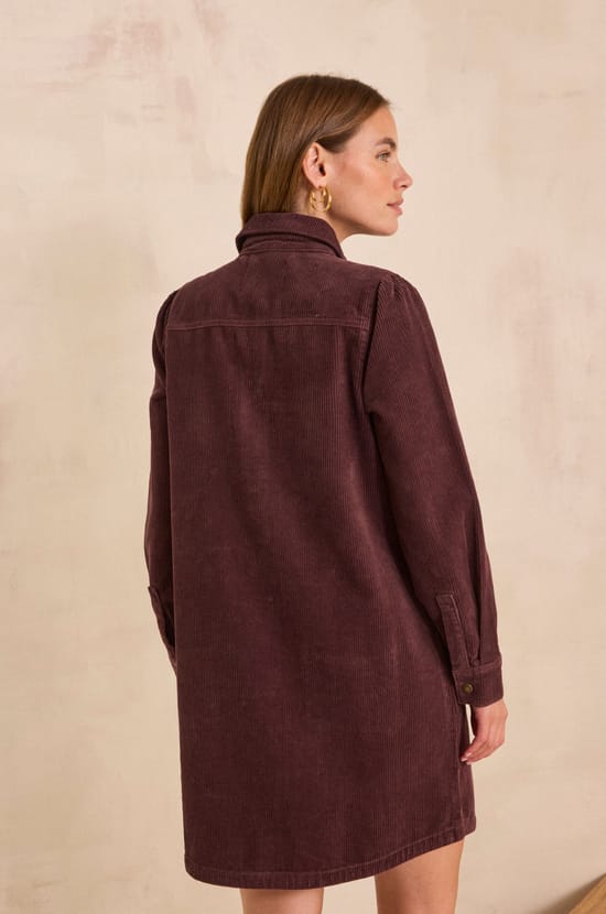 Straight velvet cotton dress in aubergine purple;${refinementColor}