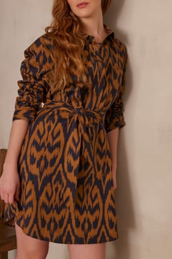 Robe chemise LISEA en coton;${refinementColor}